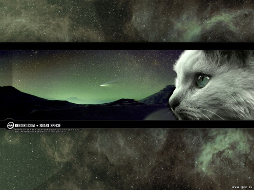 392438 (a): :1024x768